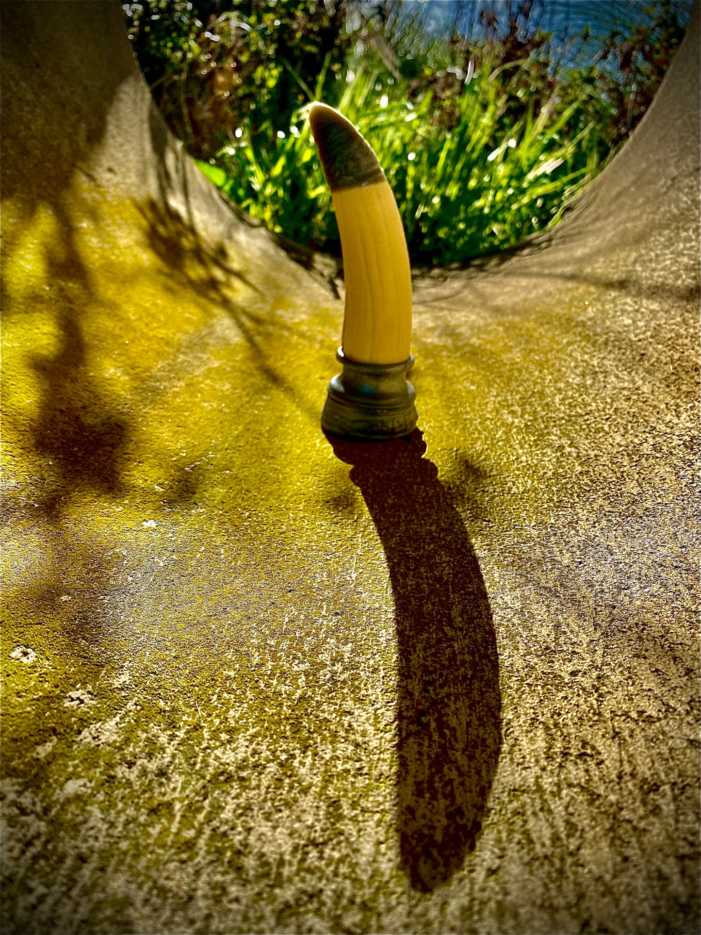 Tuskalova - Talla pequeña - Dorado y rojo diablo